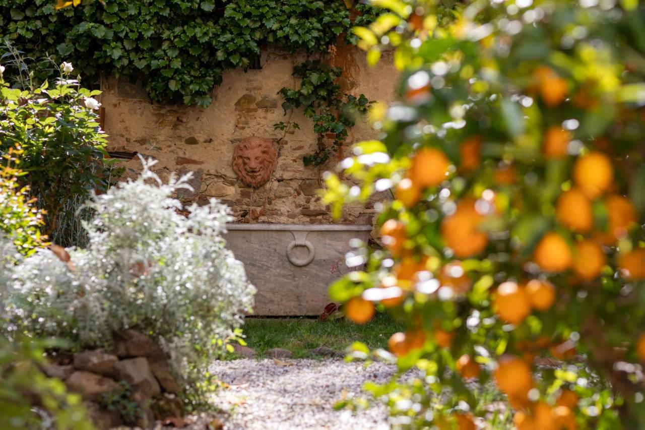 Secret Garden Firenze B&B Ngoại thất bức ảnh