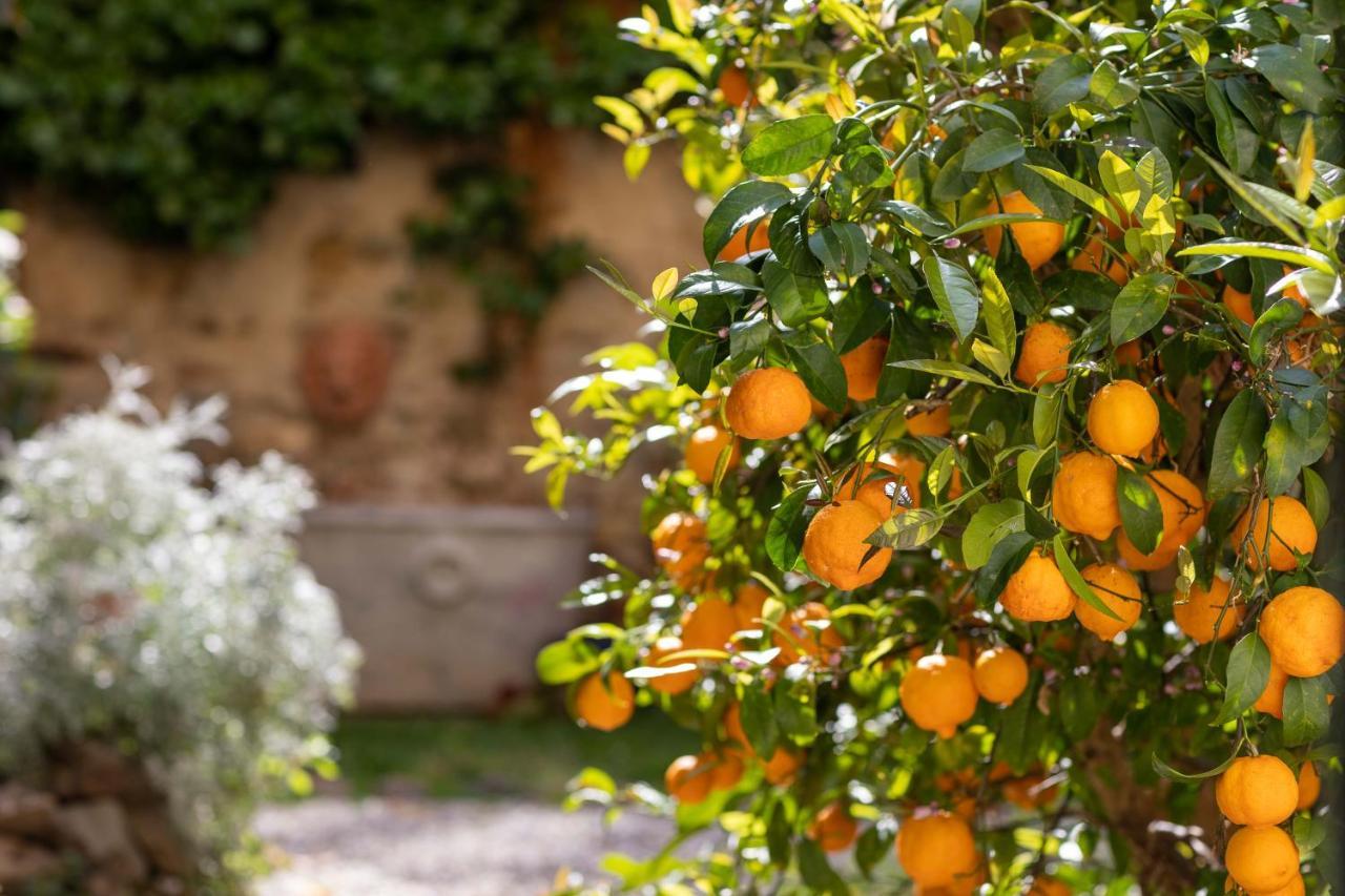 Secret Garden Firenze B&B Ngoại thất bức ảnh