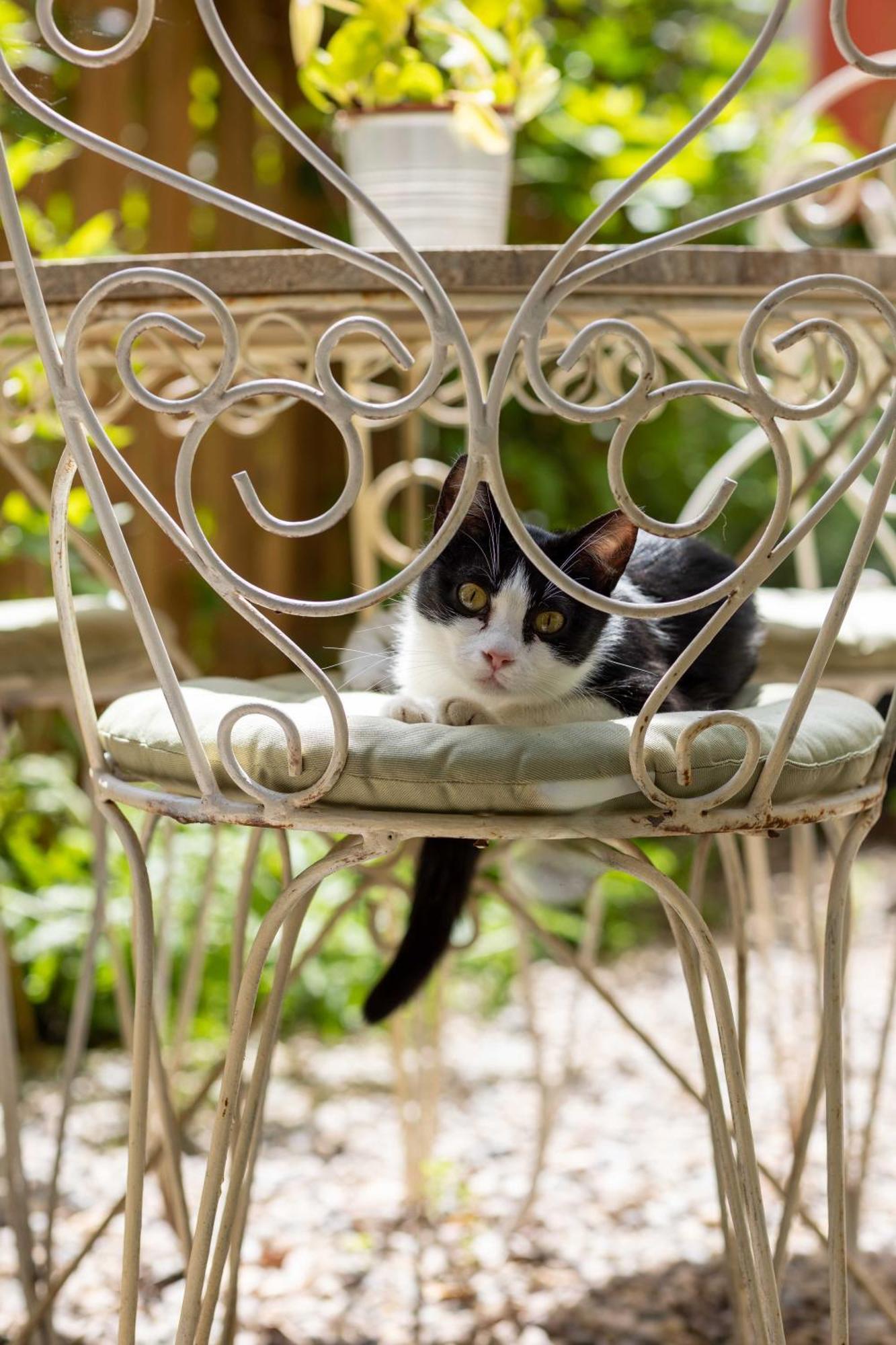 Secret Garden Firenze B&B Ngoại thất bức ảnh